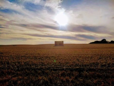 Trockenes Feld in Schleswig-Holstein